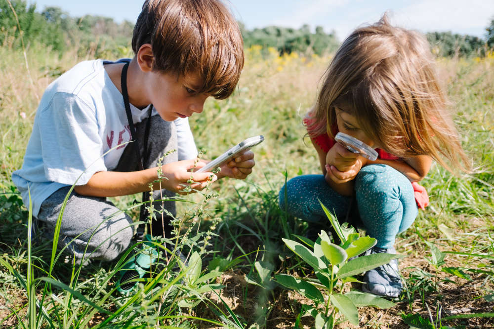 Mehrere Kinder auf einer Wiese untersuchen Pflanzen